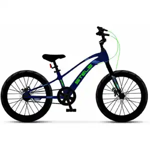 Детский велосипед Stels Leader 230 MD 20 Z010 (синий/черный)