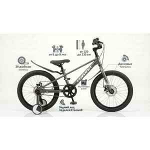 Детский велосипед Favorit TORNADO 20 Серый TOR-20GR